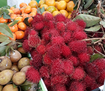 <h3>Sowas macht neugierig und ist auch lecker - Rambutan heißt diese pink-rote Frucht</h3> Rambutan Hawaii